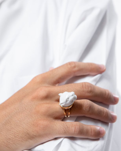 andresgallardo metamorfosis de la porcelana